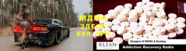прущие грибы Алексеевка