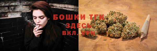 прущие грибы Алексеевка