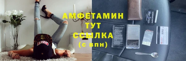 ешки Аркадак