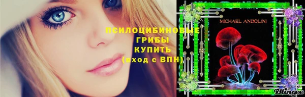 герыч Дмитриев