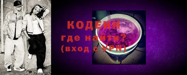 apvp Инта