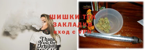дмт Алзамай