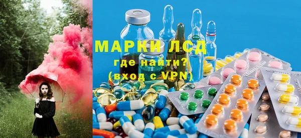 дмт Алзамай