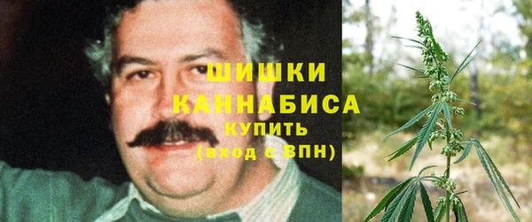 ешки Аркадак