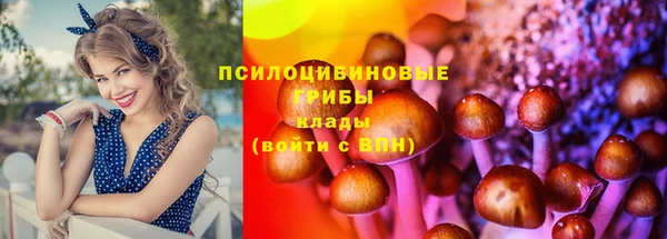 дмт Алзамай