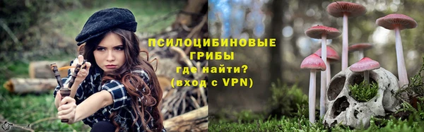 дмт Алзамай